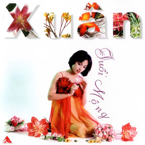 Xuân Này Con Không Về