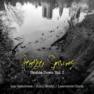 Step Down[feat. Leo Genovese, Juini Booth & Lawrence Clark] (Live)