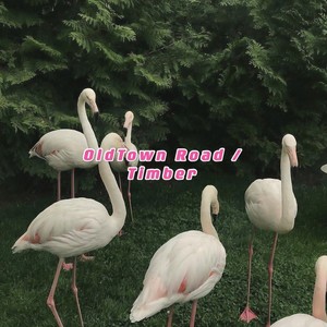 Lil Nas X-Old Town Road / Timber (2021|张鹤方 / 9DIUZ / SKGYR remix)