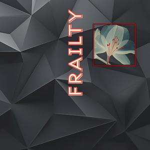 Frailty (feat. Sergiu-Dan Muresan)