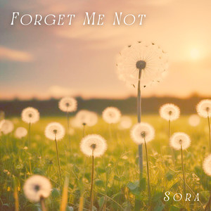 Forget Me Not