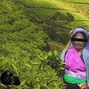 Chaya Evide (feat. Sujain C.J.|Extended Remix)