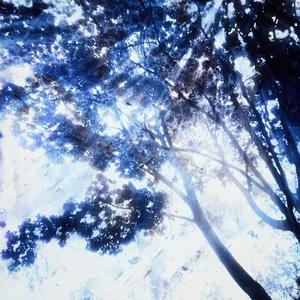 so wie gestern (feat. Jaki) (Explicit)