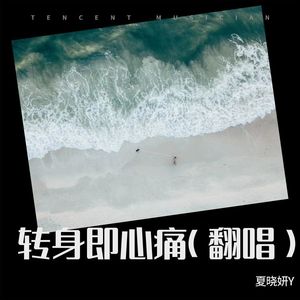 潇洒浪江湖 - 夏晓妍Y封面