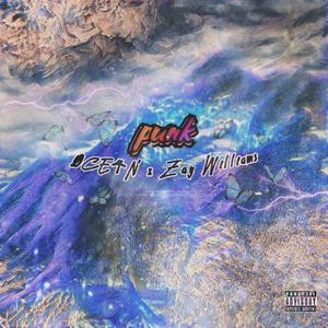 Punk (Explicit)
