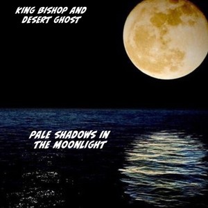 Pale Shadows in the Moonlight