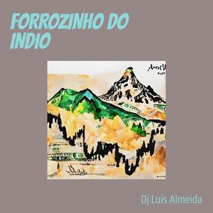 FORROZINHO DO INDIO (Remastered 2024)