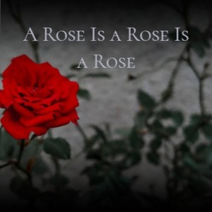 A Rose Is a Rose Is a Rose