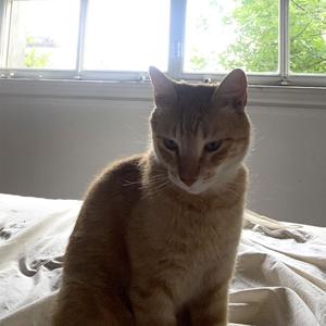 Los Pibinhos Demuelen El Lugar (Explicit)