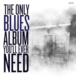 The Only Blues Album You'll Ever Need