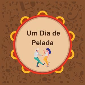 Um Dia de Pelada