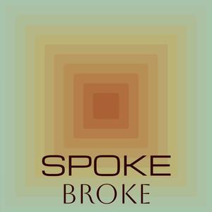 Spoke Broke