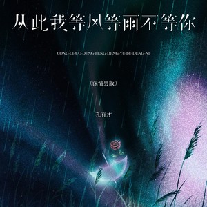 从此我等风等雨不等你-孔有才