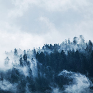 Waves of Calm