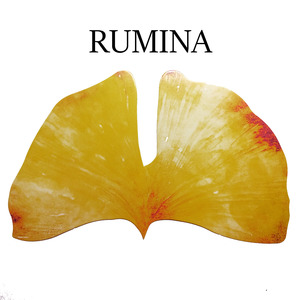 RUMINA