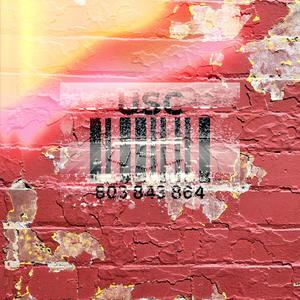 USC (feat. Chrisjenkins) (Explicit)