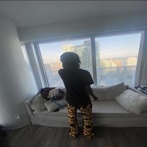 Picture Perfect (Explicit)