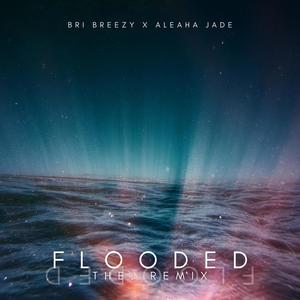 Flooded (feat. Aleaha Jade) [Remix] [Explicit]