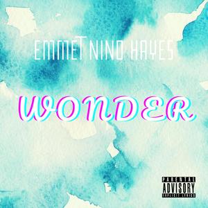 Wonder (Explicit)