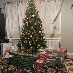 DRUNK Freestyle (Explicit)