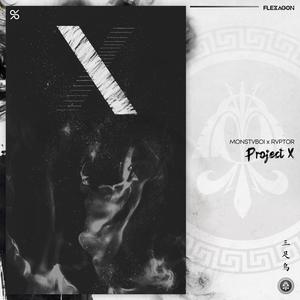 Project X (Explicit)