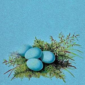 robin's egg blue