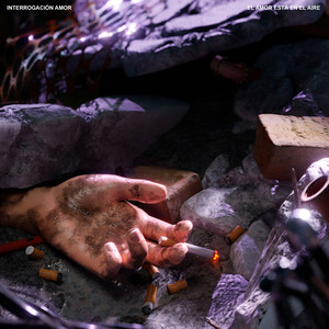 el amor está en el aire