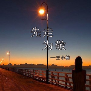 先走为敬封面