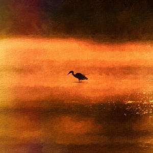 Rainmaker (feat. Trey Steez & Acquaint Sense) (Explicit)