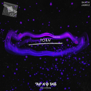 Torn - TECHNO (Extended Mix)