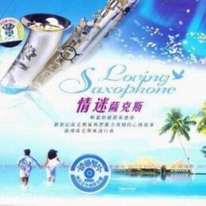 爱一个人好难 (纯音乐)封面
