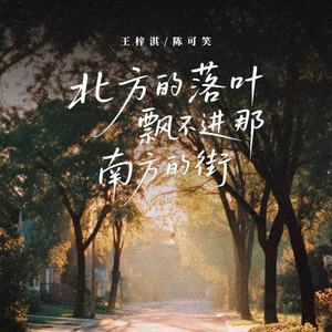 北方的落叶(飘不进南方的街)