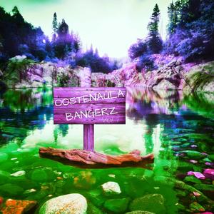 Oostenaula Bangerz, Vol. 1 (Explicit)