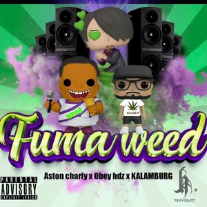 Fuma **** (feat. The obey hdz, Aston charly & Kalamburg)