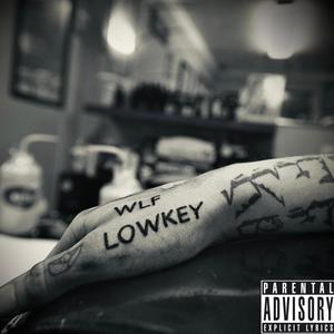 LOWKEY/upinmyzone! (feat. A'yo TD) [Explicit]