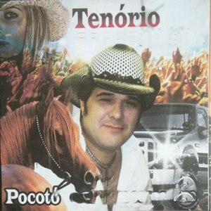 Pocotó