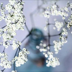 细雨中的晨曦 (伴奏)