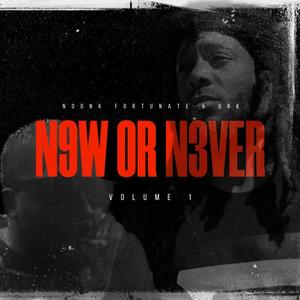 N9W OR N3VER VOLUME 1 (Explicit)