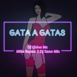 Gata A Gatas (feat. Mike Rayers & Kano Mix) [Explicit]