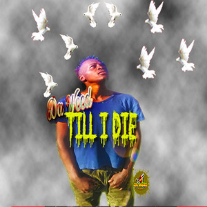 Till I Die (Explicit)