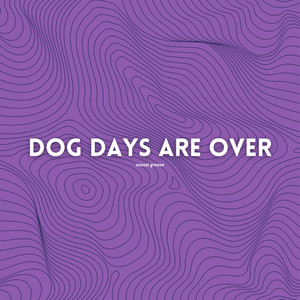 Dog Days Are Over