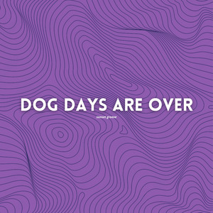 Dog Days Are Over