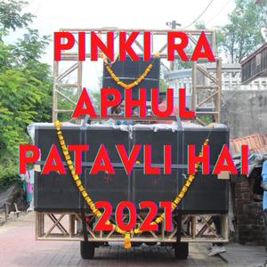 PINKI RA APHUL PATAVLI HAI 2021