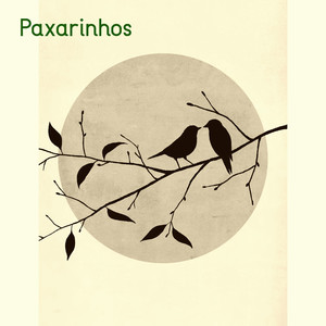 Paxarinhos