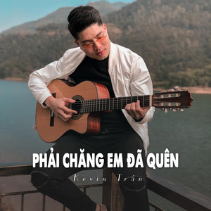 Phải Chăng Em Đã Quên (Ytmix)