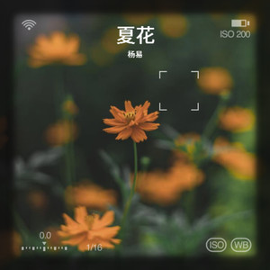 杨易 - 初雪 (伴奏)