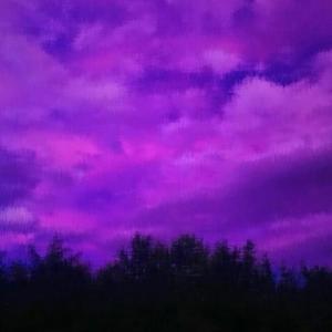 Lights (feat. kerxxed.kore, 8aak77, TNE Jail, babyv, ihy.mon & ypcmarii) (Explicit)