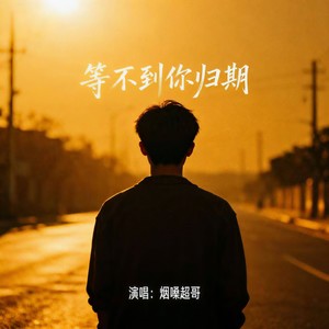 烟嗓超哥 - 等不到你归期 (伴奏)