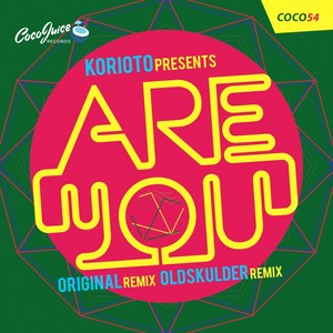Are You (Original Mix)