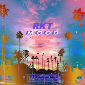 Mood (feat. Gablovesarros) (Explicit)